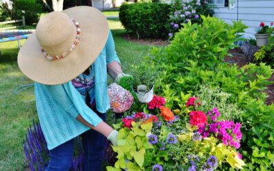 Front Walkway Improvements that Boost Curb Appeal