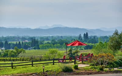 Why Yountville is Napa Valley’s Hidden Gem for Homebuyers