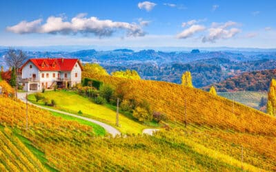 Second Home in Wine Country: What to Know